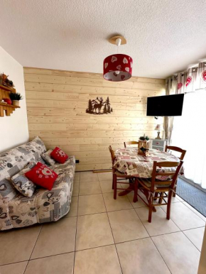 Superbe appartement à 50m des pistes parking privé